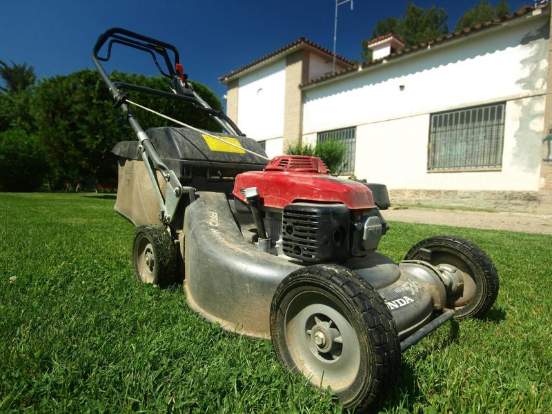 cortadora de hierba de gasolina